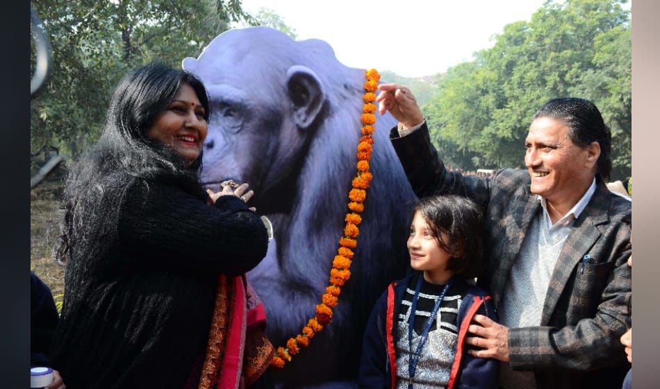 chimpanzee rita's birthday was celebrated in zoo