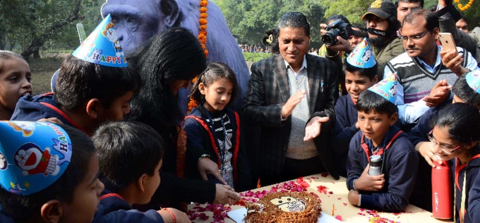 chimpanzee rita's birthday was celebrated in zoo