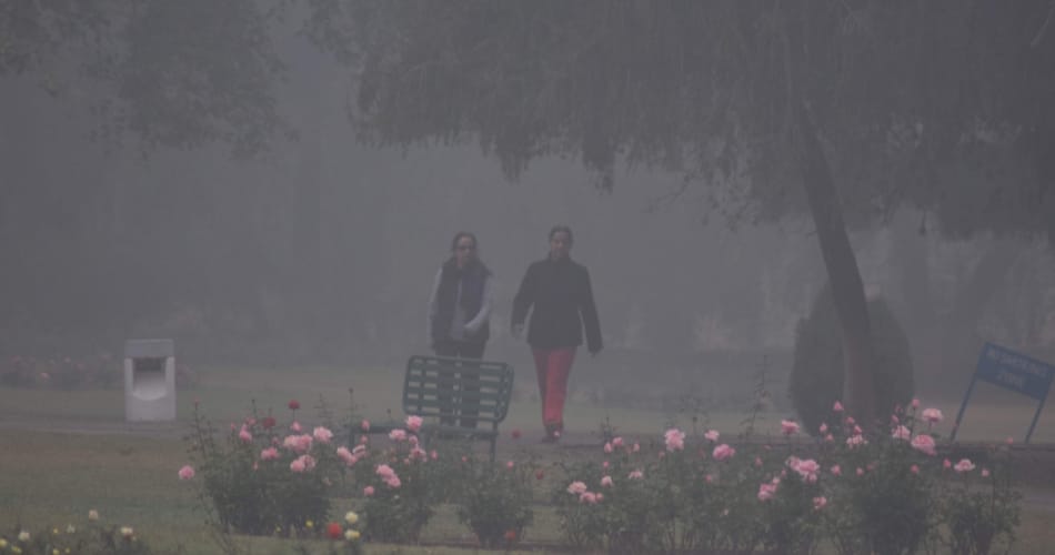 Chandigarh temperature is Less than Shimla