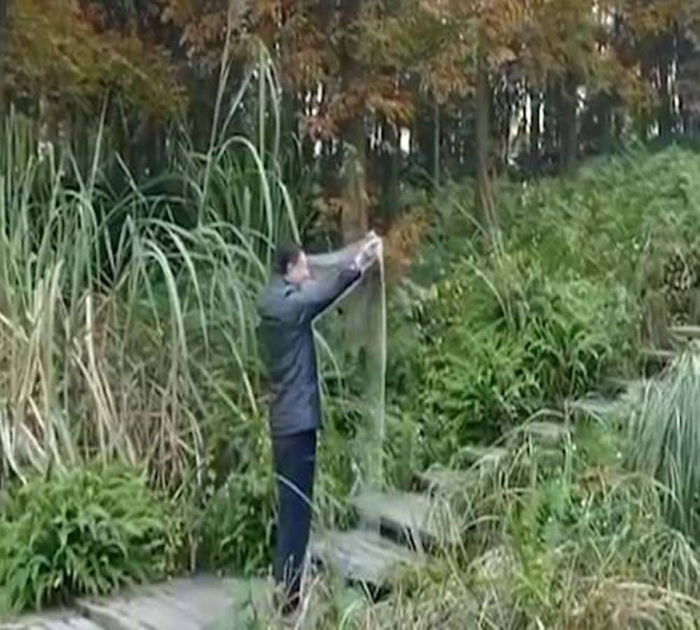 Chinese web users amazed by transparent cloth which makes a person disappear