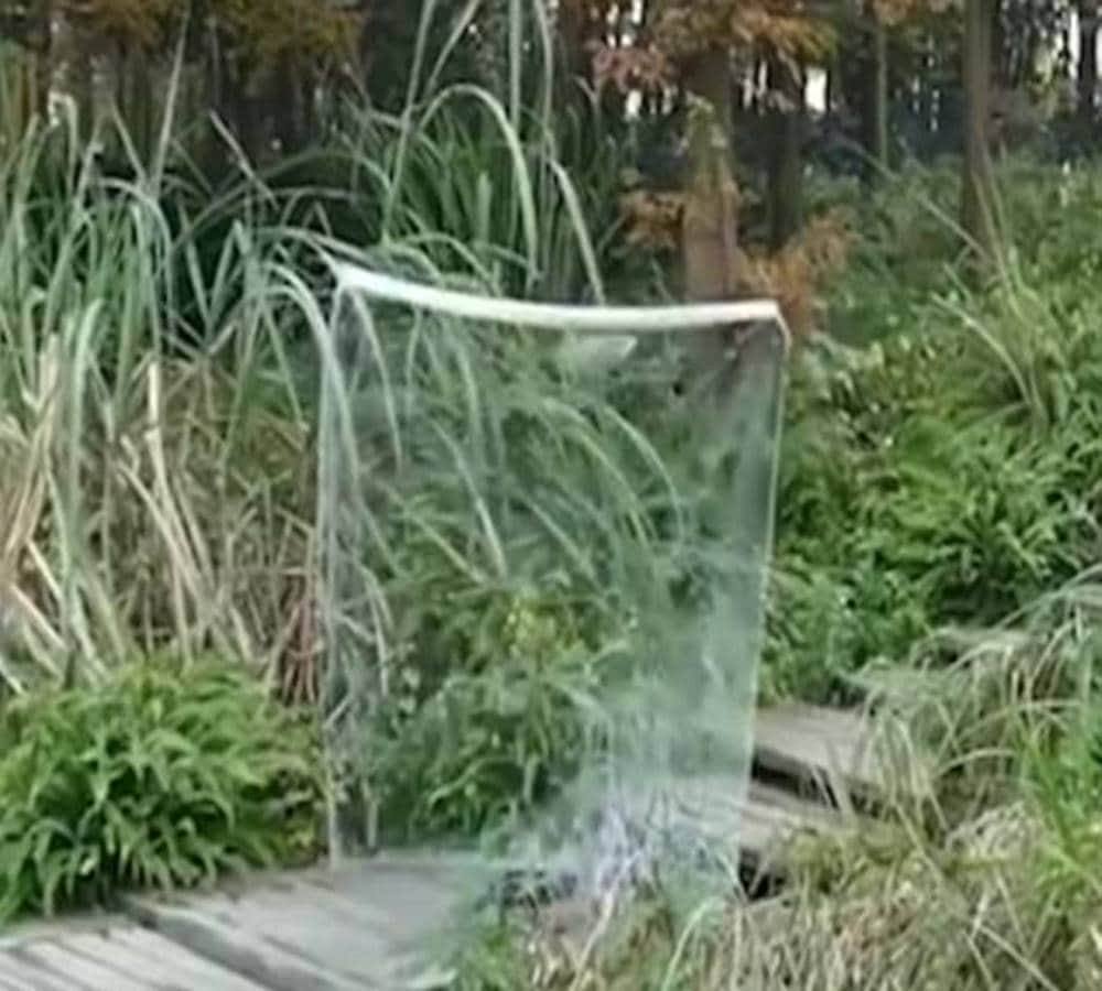 Chinese web users amazed by transparent cloth which makes a person disappear