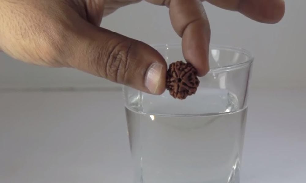 tips for check that your rudraksha is original or fake