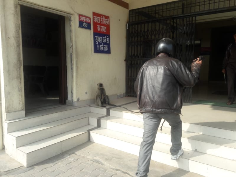 gibbon deployed in agra ssp office 