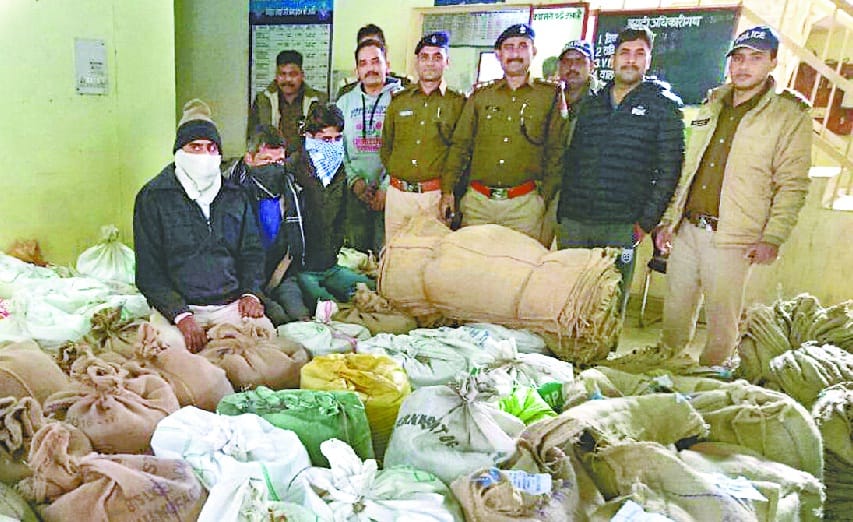 caught 81 bag of wheat and 22 of rice