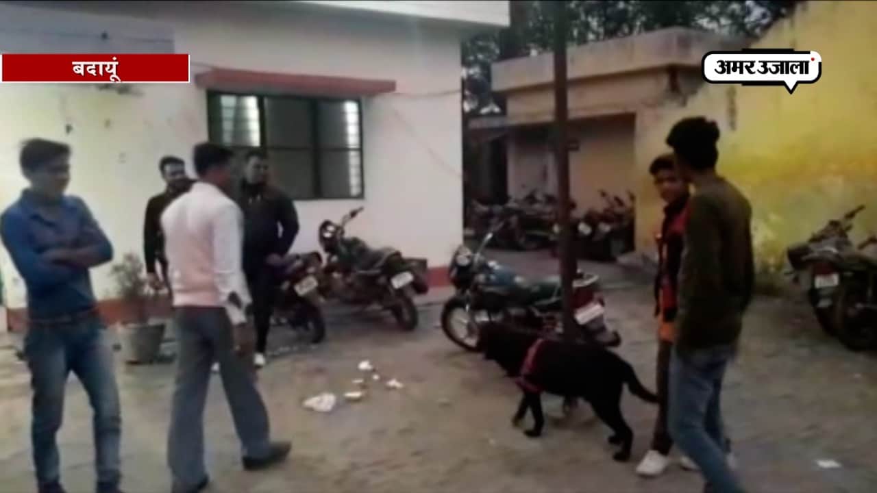 डॉगी हिरासत मेंं