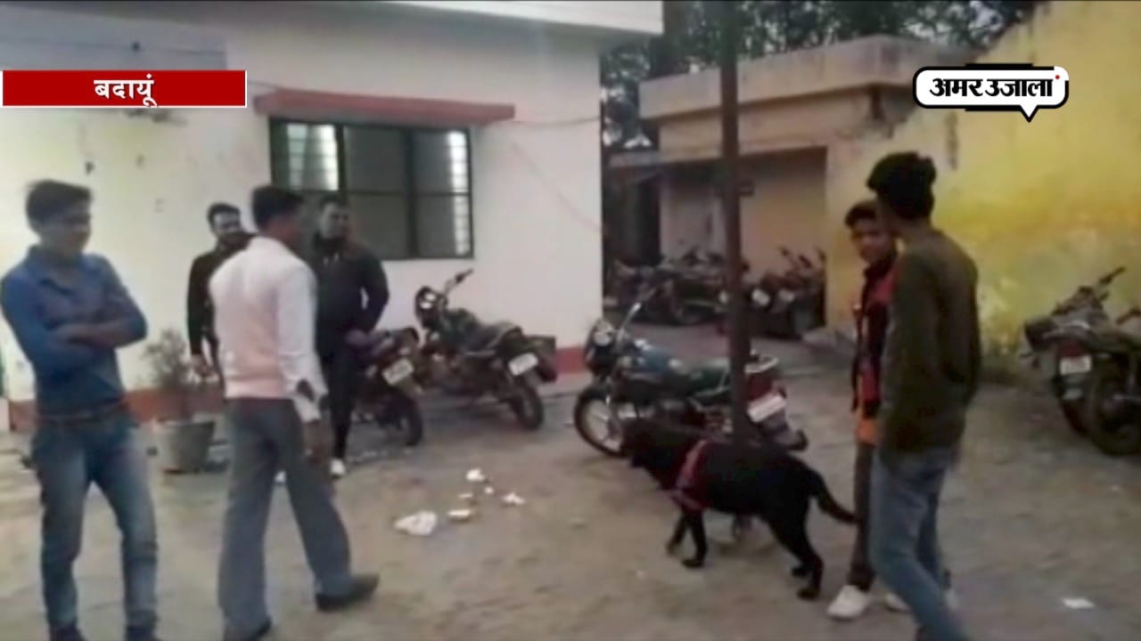 डॉगी हिरासत मेंं