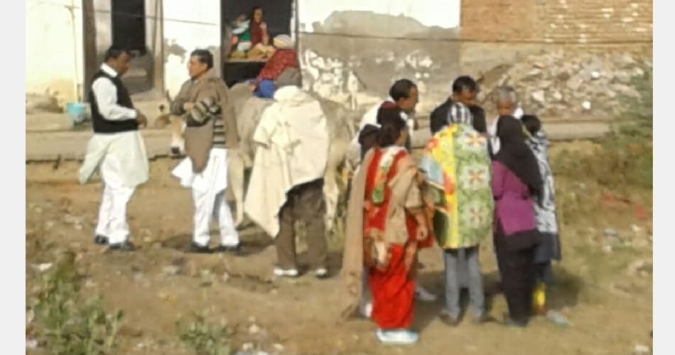  One arrested in rape, murder of 6-year-old girl in Hisar