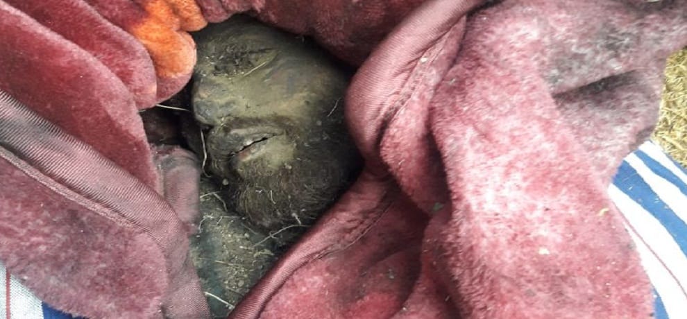  One Jaish-e-Mohammed terrorist found dead in Tral Eidgah in South Kashmir 