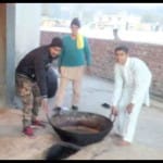 himachal assembly election 2017 virbhadra singh seat arki