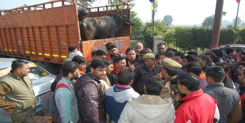 Hindu yuva vahini activists waking up to see Cantor full of animals, beating of driver