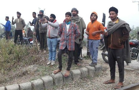 मझोला व गजरौला क्षेत्र में बाघ की चहलकदमी, दहशत
