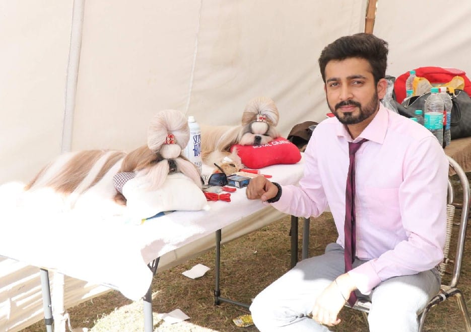 dehradun dog show 2017 photos these dogs like soft toys 