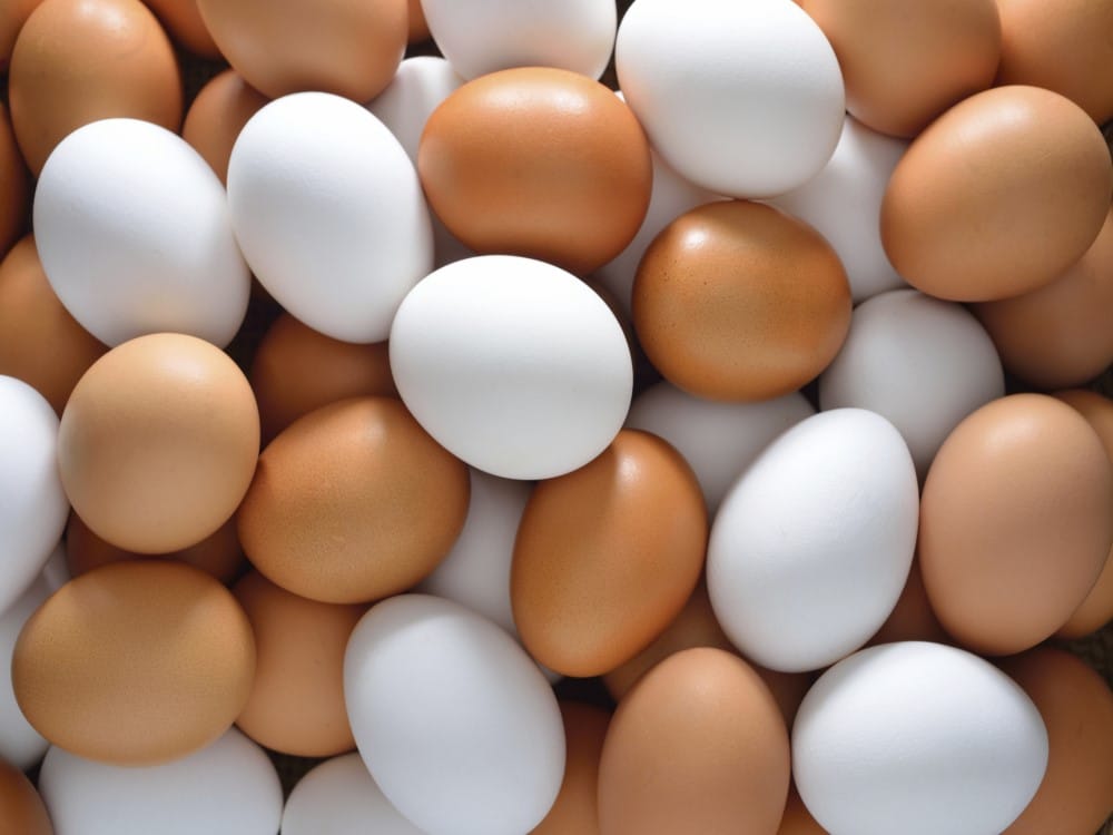 fake egg identification with this way