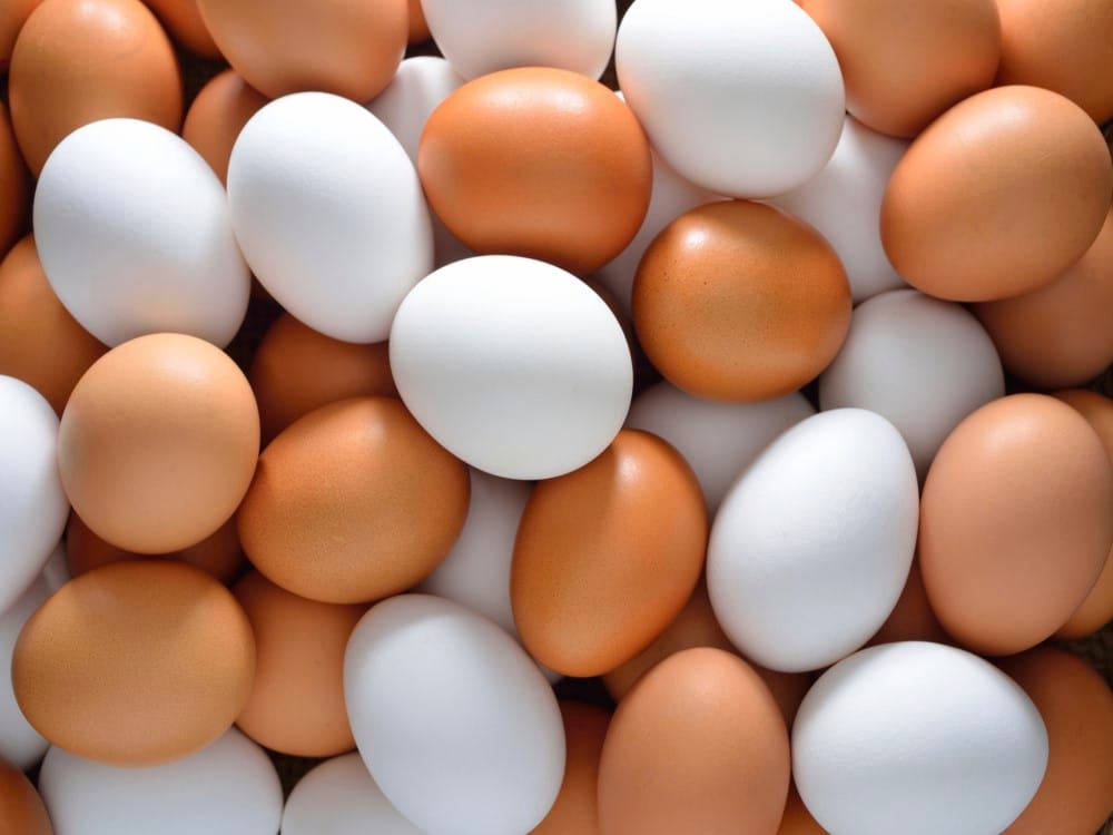 plastic egg in market, how to identify fake and real egg