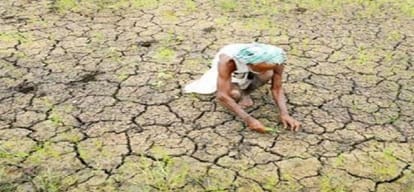 Maharashtra: 26,339 farmers suicides in 17 years
