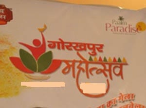 क्षेत्रीय कलाकारों को मिलेगी महोत्सव में तरजीह