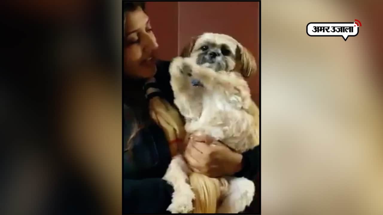 गुजरात इलेक्शन 