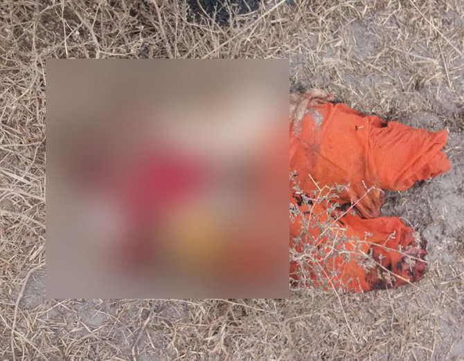 rohtak lady dead body found in pieces, husband killed for illegal relations