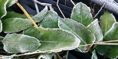 rajasthan weather temperature goes down to minus in shekhawati-s fatehpur churu sikar 