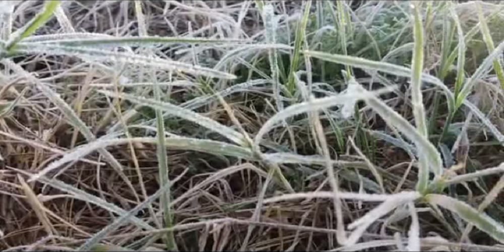 rajasthan weather temperature goes down to minus in shekhawati-s fatehpur churu sikar 