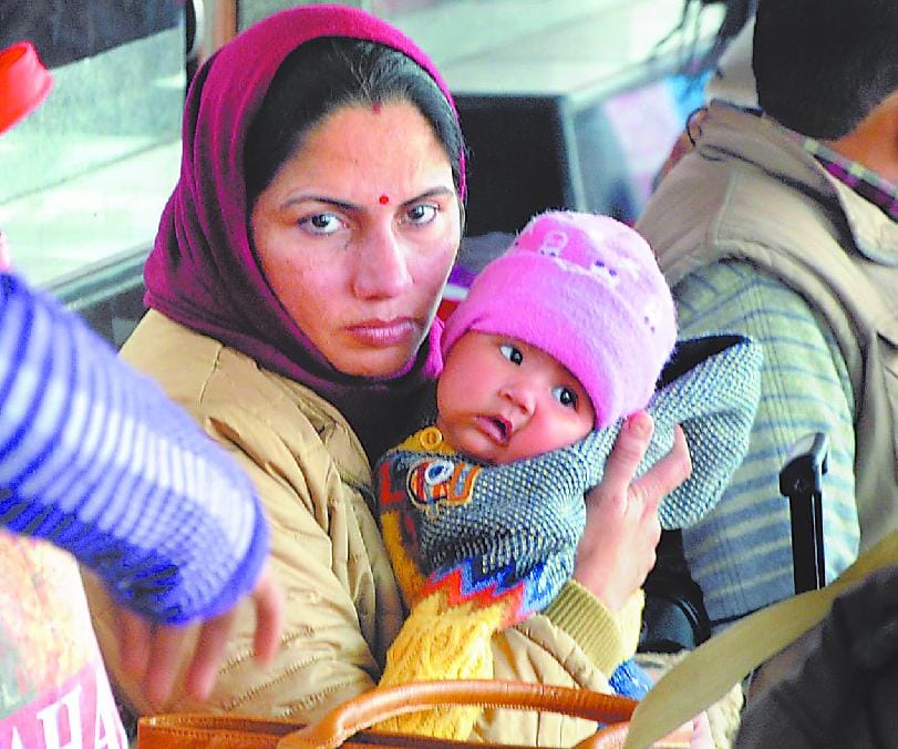 Pachua grows cold 