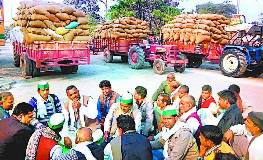 Farmers camped in the mandi with rice laden trolleys