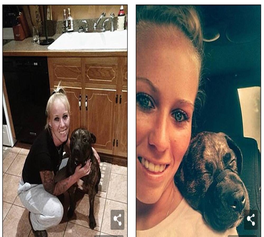 The twenty two year old girl was killed by her own dogs