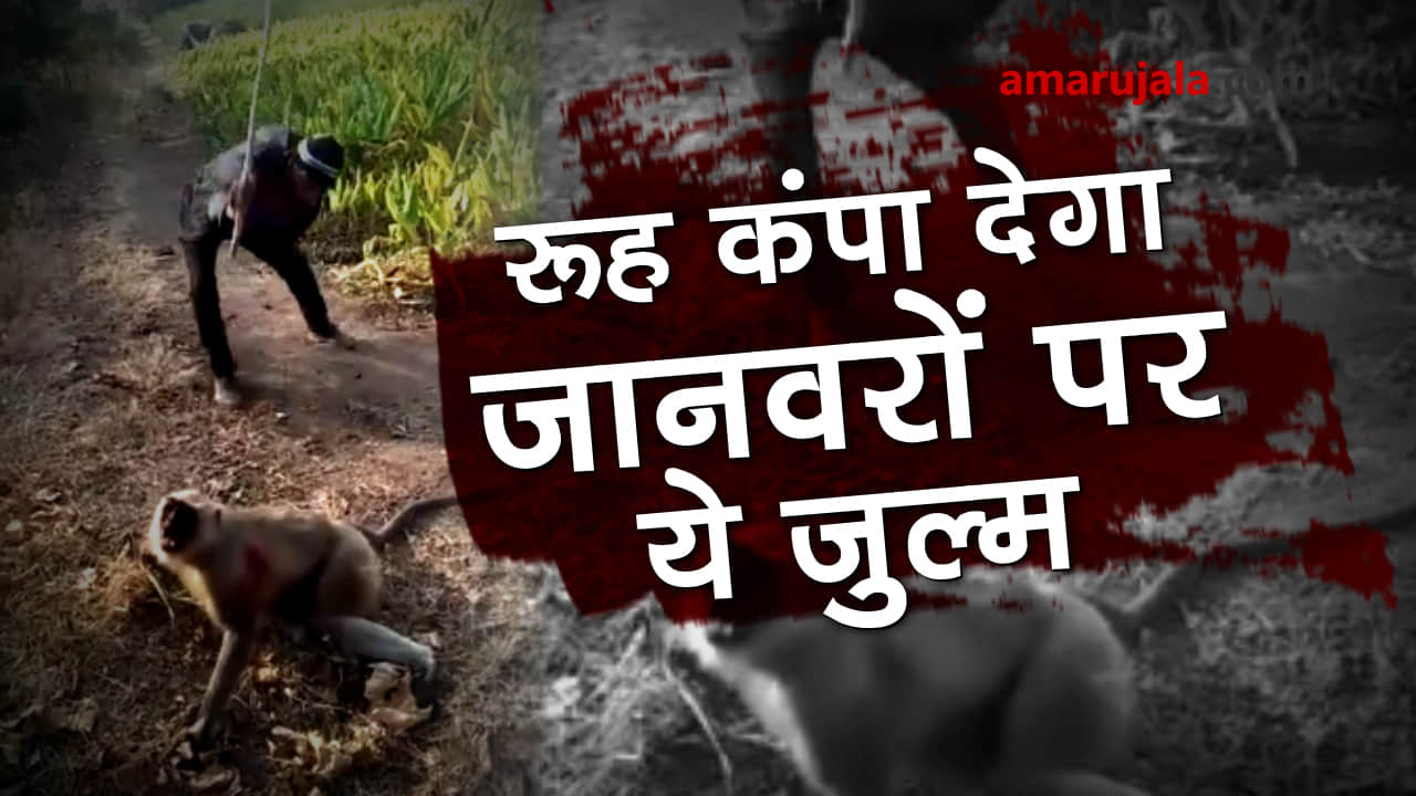 प्रतीकात्मक तस्वीर