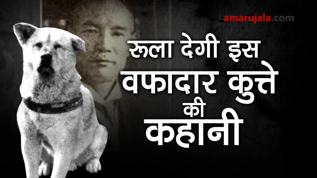 प्रतीकात्मक तस्वीर