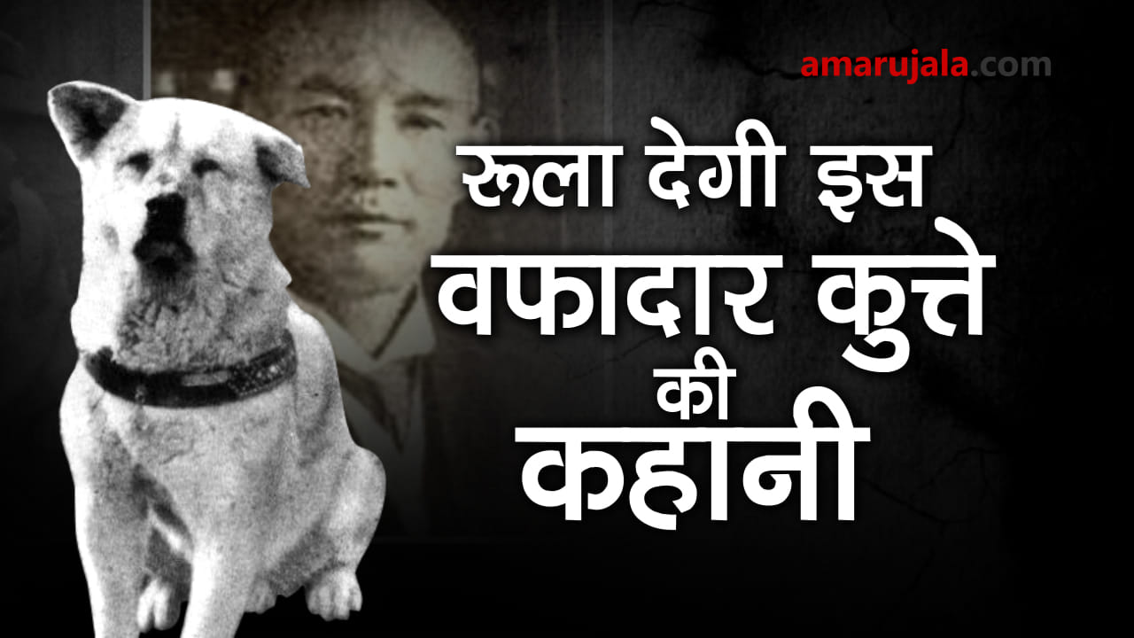 प्रतीकात्मक तस्वीर