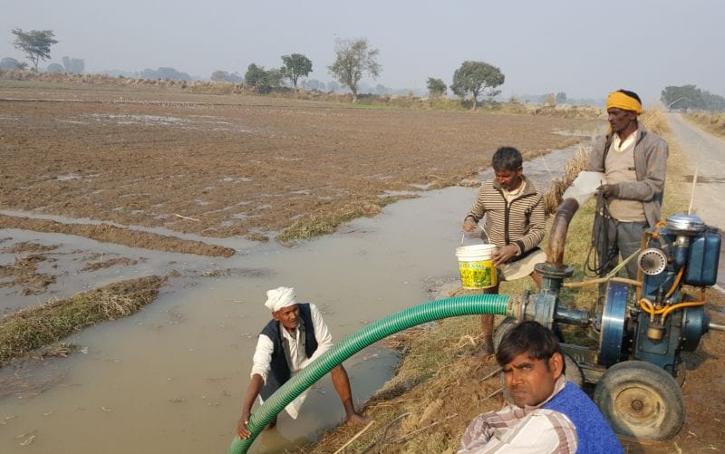 नहर की खंदी कटने से सैकड़ों बीघा फसल जलमग्न