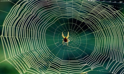 according to vastu remove these sign of unfortunate happenings from your house 