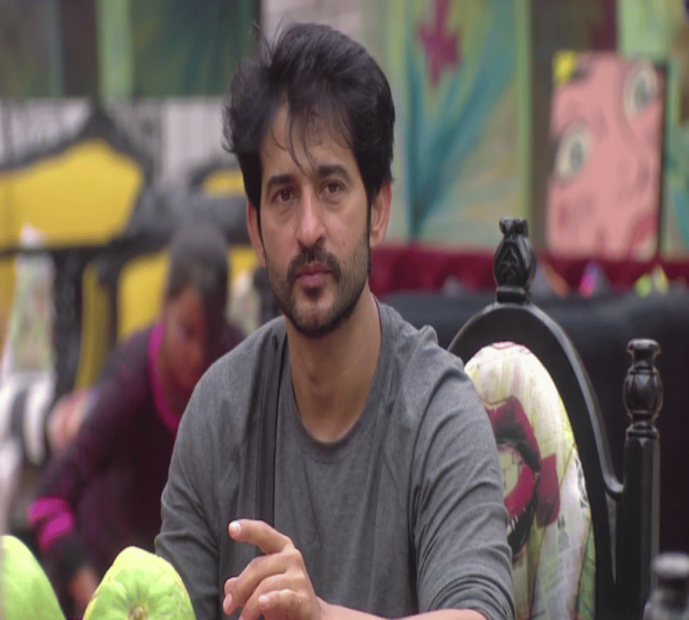 bigg boss 11 arshi khan becomes pregnant lady of hiten tejwani child