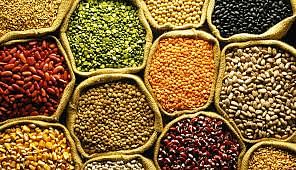 World Pulses Day today: Acharya Charak advised patients to eat pulses and khichdi