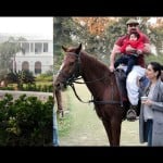 celebration of taimur ali khan birthday celebration in pataudi palace haryana