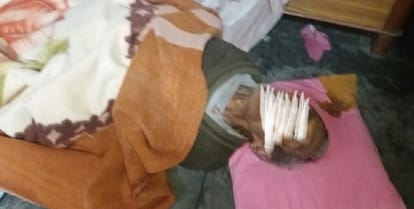 Shameful! the couple life was tiny, dead zombies in closed houses