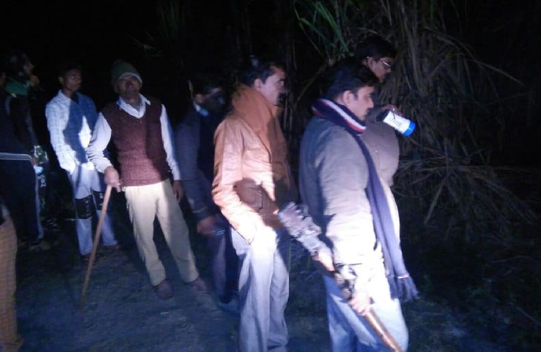 भीरा रेंज के हमीदाबाद के पास देखा गया बाघ,