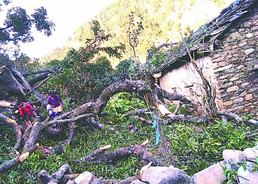 पीडब्ल्यूडी ने वन विभाग को दिए आठ करोड़ रुपये