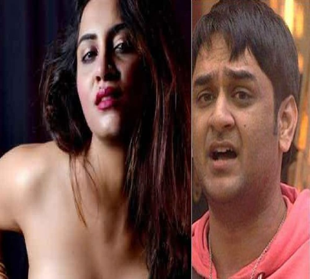 arshi khan says vikas will be ruin after going myself bigg boss 11