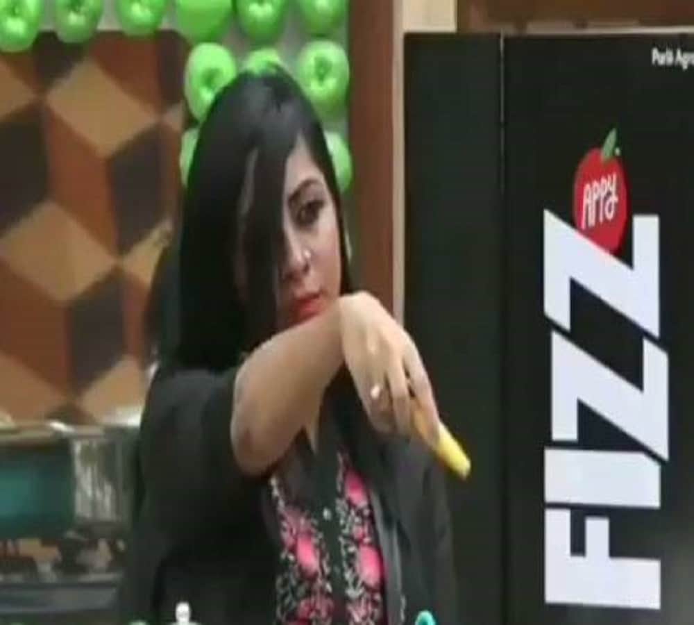 bigg boss 11: controversial statements of arshi khan