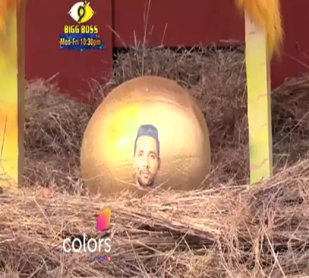 contestants are fighting for captaincy in bigg boss 11 poultry farm luxury budget task  