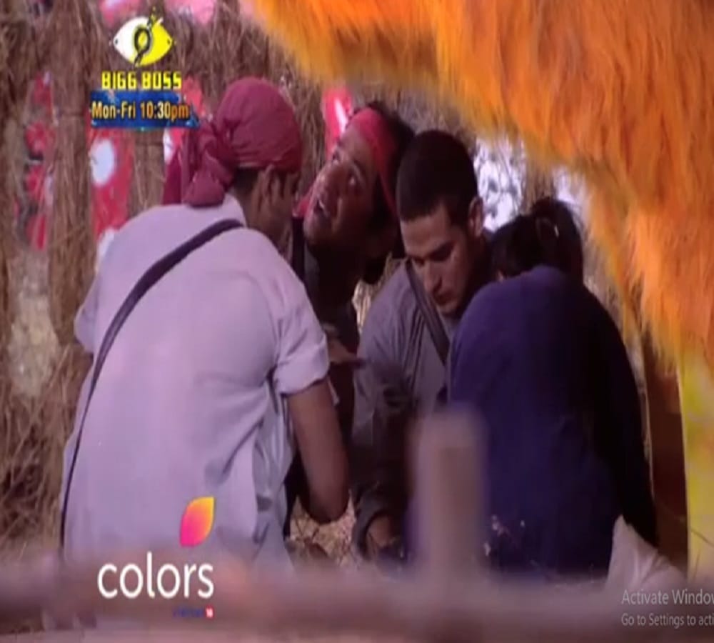 contestants are fighting for captaincy in bigg boss 11 poultry farm luxury budget task  