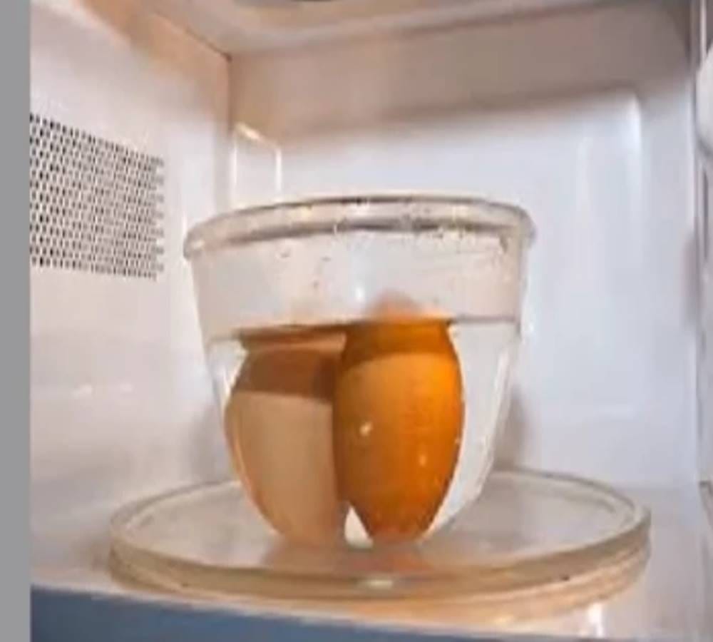 Microwave ovens Companies should warn of exploding eggs 