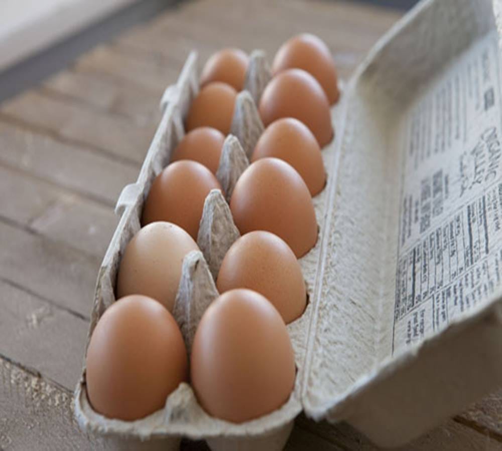 Microwave ovens Companies should warn of exploding eggs 
