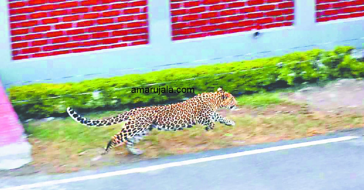 guldar exclusive photos captured during entering in house in dehradun