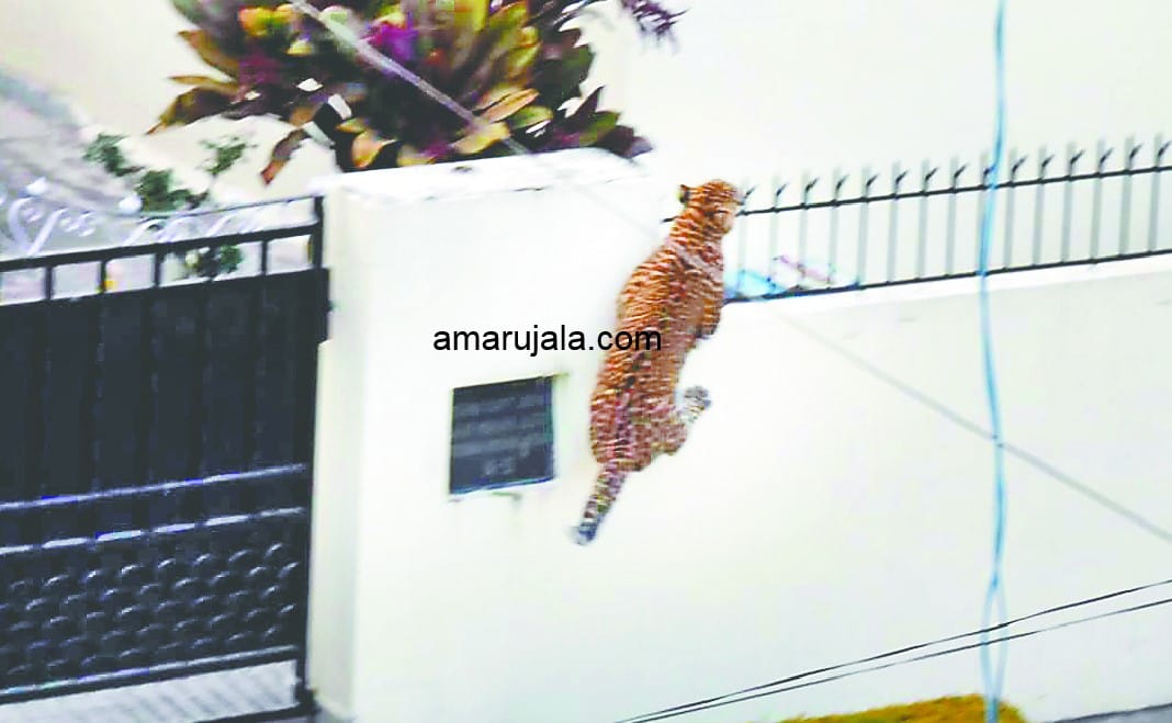 guldar exclusive photos captured during entering in house in dehradun