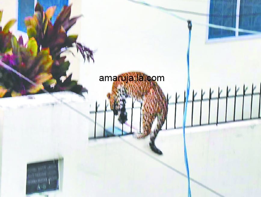 guldar exclusive photos captured during entering in house in dehradun