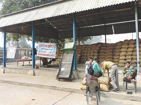 Government paddy procurement of standards
