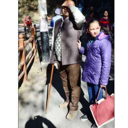 monkey attack in shimla