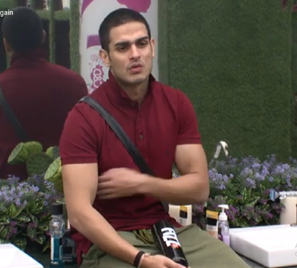 akash dadlani reveals vikas and priyank true friendship in bigg boss
